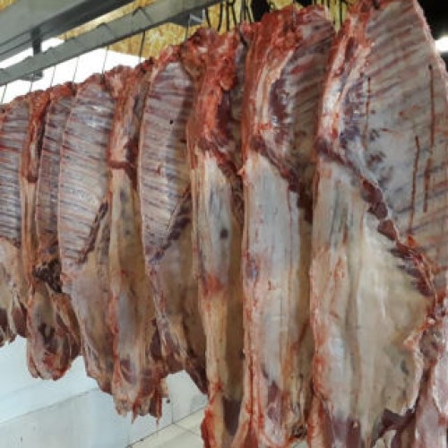 SALTA - CARNE'S JOSE PREMIUM